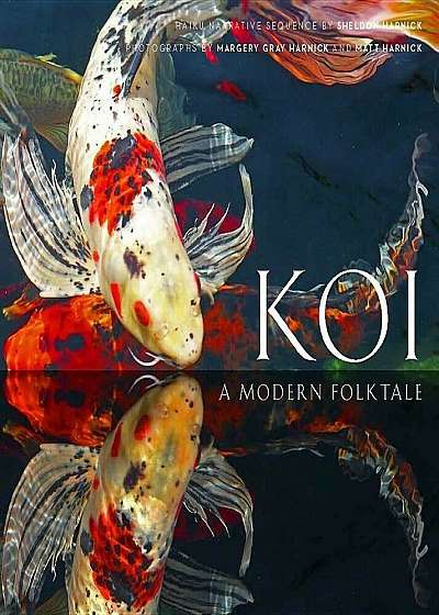 Koi: A Modern Folk Tale, Hardcover