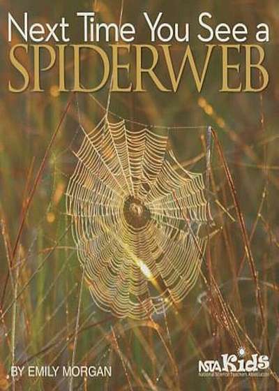 Next Time You See a Spiderweb, Paperback