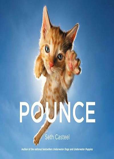 Pounce, Hardcover
