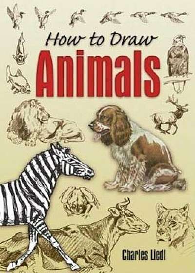 How to Draw Animals, Paperback
