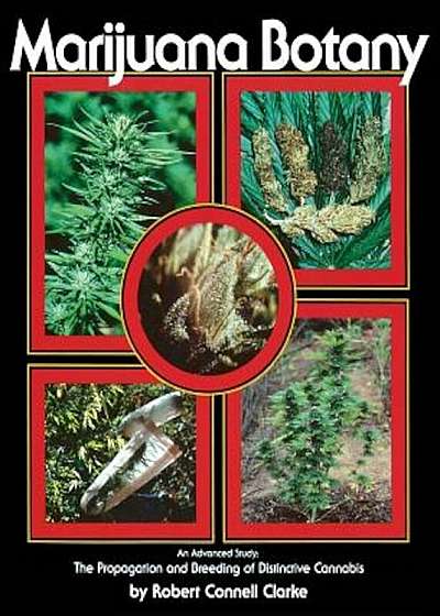 Marijuana Botany: The Propagation and Breeding of Distintive Cannabis, Paperback