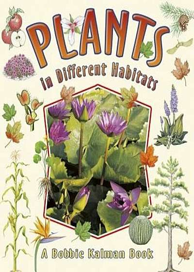 Plants in Different Habitats, Paperback