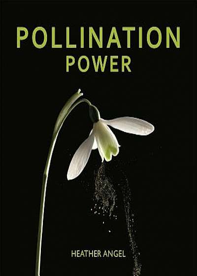Pollination Power, Hardcover