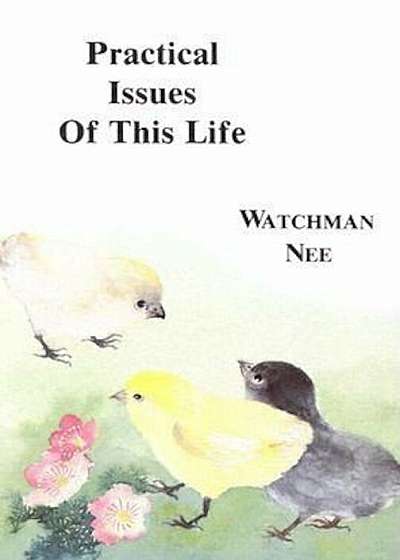 Practical Issues of This Life:, Paperback