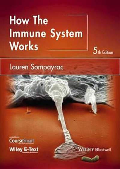 How the Immune System Works, Paperback