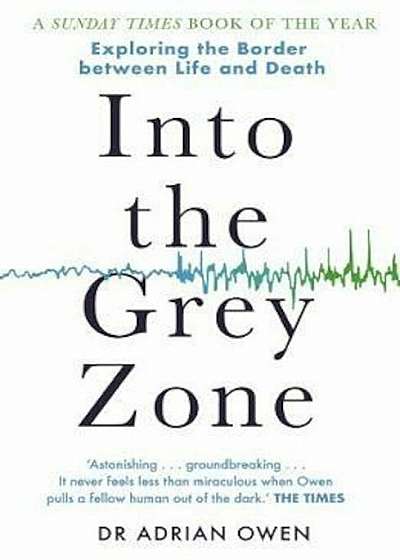 Into the Grey Zone, Paperback