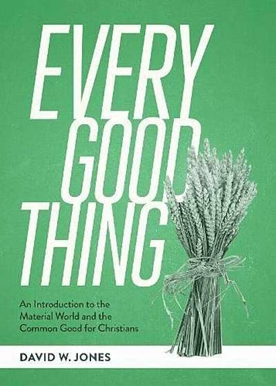 Every Good Thing: An Introduction to the Material World and the Common Good for Christians, Hardcover