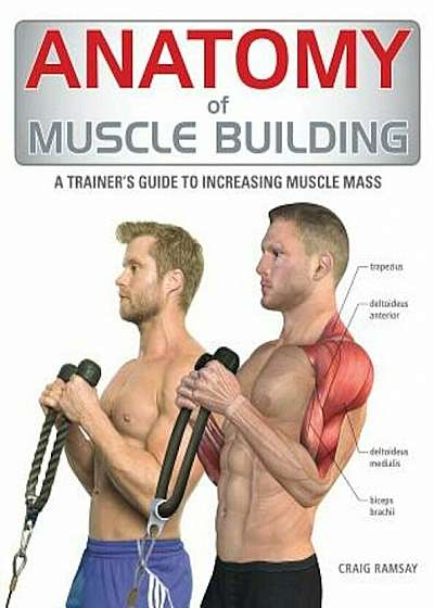 Anatomy of Muscle Building: A Trainer's Guide to Increasing Muscle Mass, Paperback