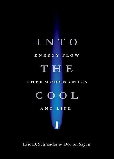 Into the Cool: Energy Flow, Thermodynamics, and Life, Paperback