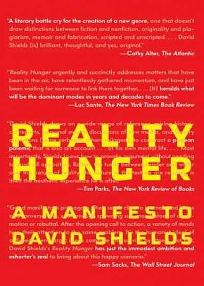 Reality Hunger: A Manifesto, Paperback