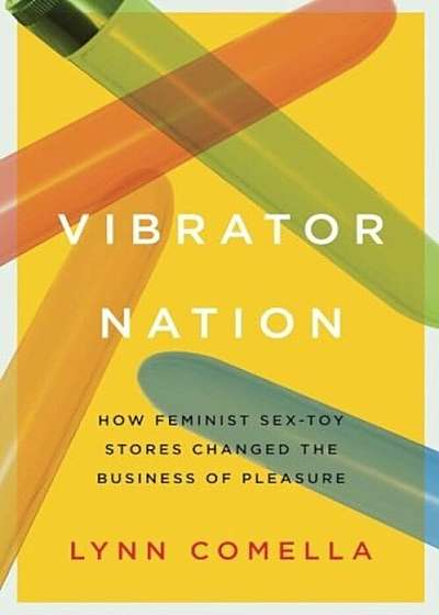 Vibrator Nation: How Feminist Sex-Toy Stores Changed the Business of Pleasure, Paperback