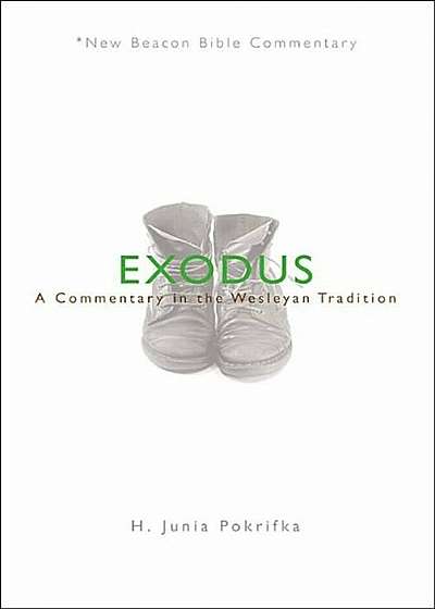 Nbbc, Exodus: A Commentary in the Wesleyan Tradition, Paperback