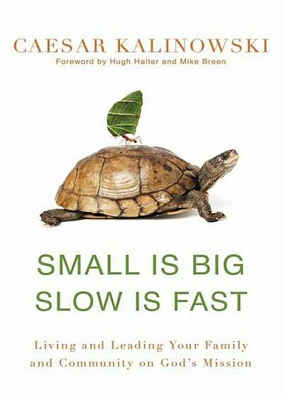Small Is Big, Slow Is Fast: Living and Leading Your Family and Community on God's Mission, Paperback