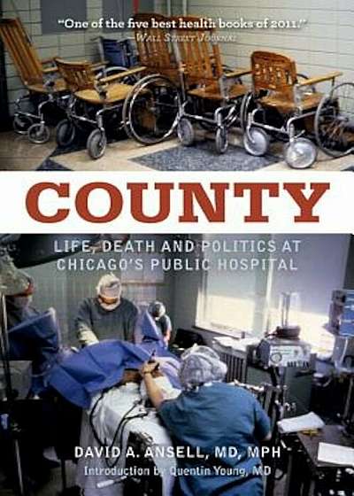 County: Life, Death and Politics at Chicago's Public Hospital, Paperback