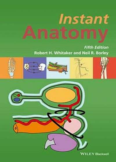 Instant Anatomy, Paperback