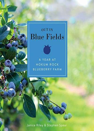 Out in Blue Fields: A Year at Hokum Rock Blueberry Farm, Hardcover