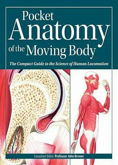 Pocket Anatomy of the Moving Body, Paperback