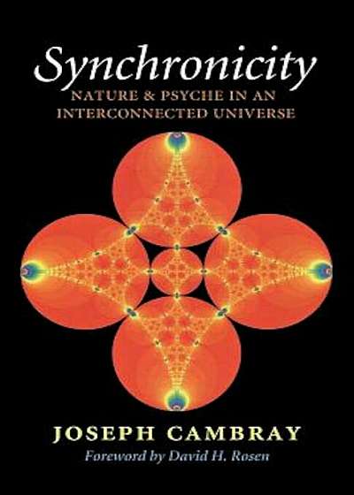 Synchronicity: Nature and Psyche in an Interconnected Universe, Paperback