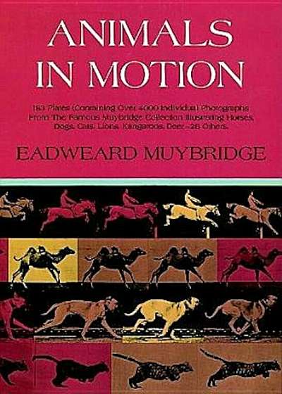 Animals in Motion, Hardcover