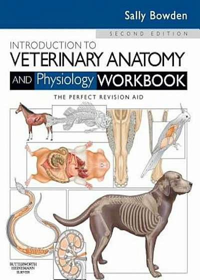 Introduction to Veterinary Anatomy and Physiology Workbook, Paperback