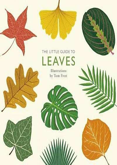 Little Guide to Leaves, Hardcover