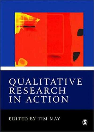 Qualitative Research in Action, Paperback