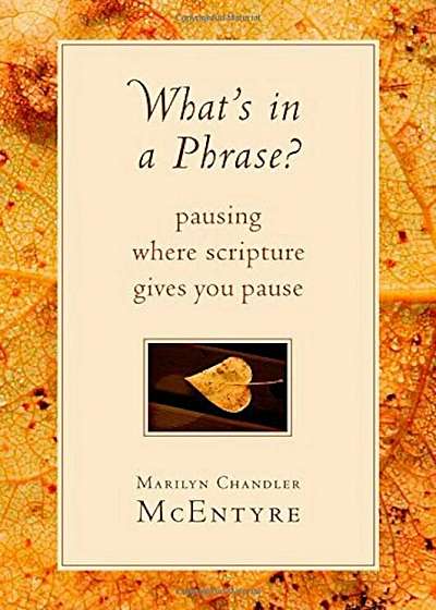 What's in a Phrase': Pausing Where Scripture Gives You Pause, Paperback