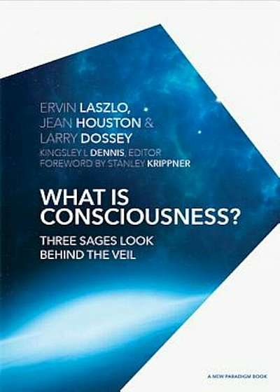 What Is Consciousness': Three Sages Look Behind the Veil, Hardcover