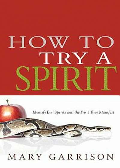 How to Try a Spirit, Paperback
