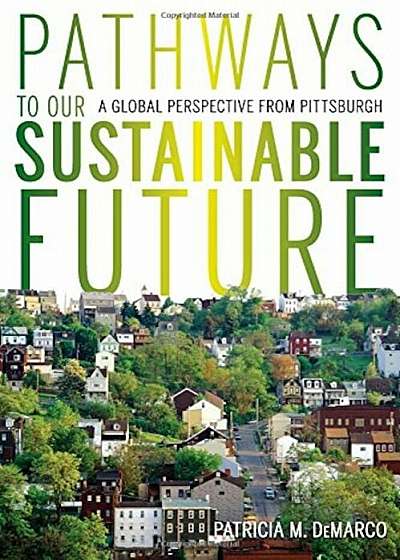Pathways to Our Sustainable Future: A Global Perspective from Pittsburgh, Paperback