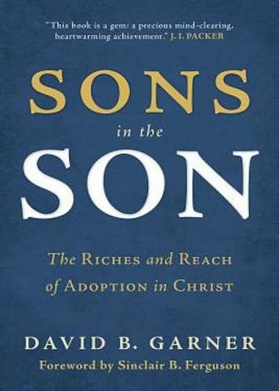 Sons in the Son: The Riches and Reach of Adoption in Christ, Paperback