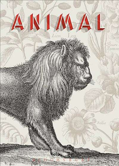 Animal: A Beastly Compendium, Hardcover
