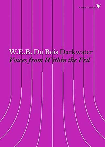 Darkwater: Voices from Within the Veil, Paperback