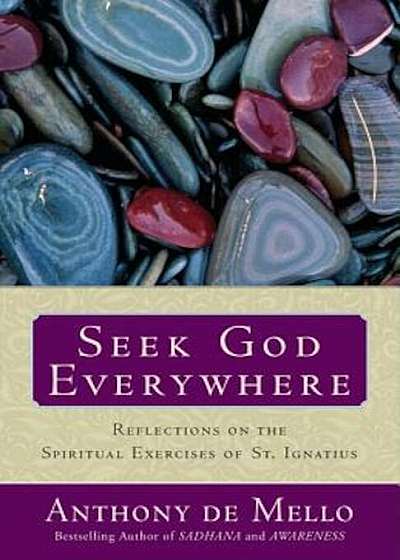 Seek God Everywhere: Reflections on the Spiritual Exercises of St. Ignatius, Paperback