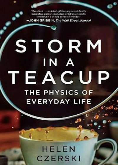 Storm in a Teacup: The Physics of Everyday Life, Paperback