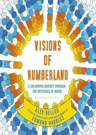 Visions of Numberland, Paperback