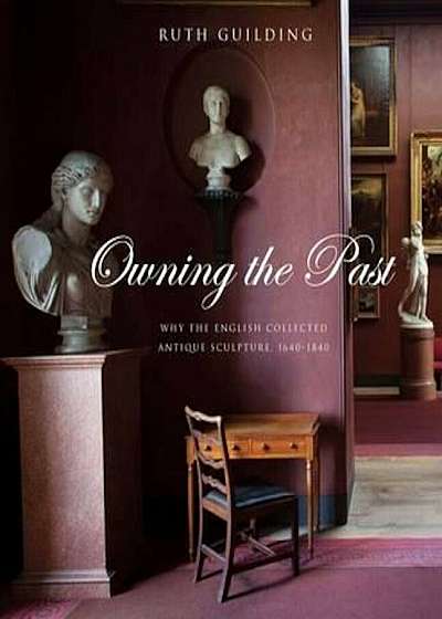 Owning the Past, Hardcover