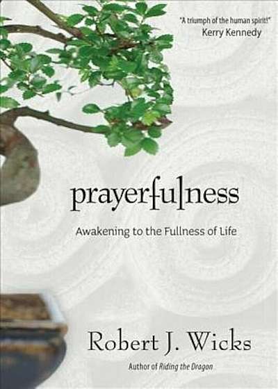 Prayerfulness: Awakening to the Fullness of Life, Paperback