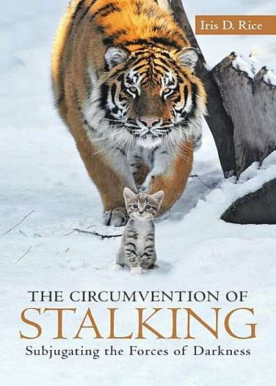 Coperta cărții The Circumvention of Stalking, Paperback de Iris D. Rice