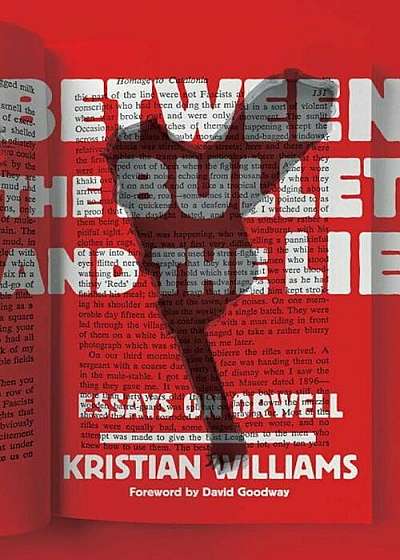 Between the Bullet and the Lie: Essays on Orwell, Paperback