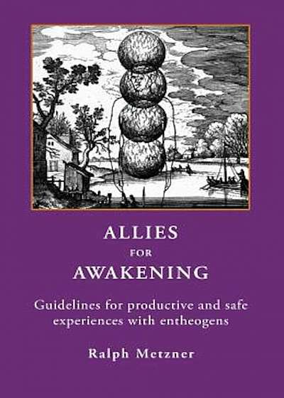 Allies for Awakening Guidelines for Productive and Safe Experiences with Entheogens, Paperback
