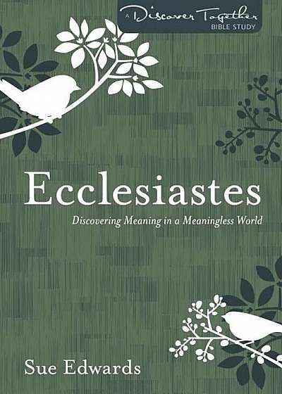Ecclesiastes: Discovering Meaning in a Meaningless World, Paperback