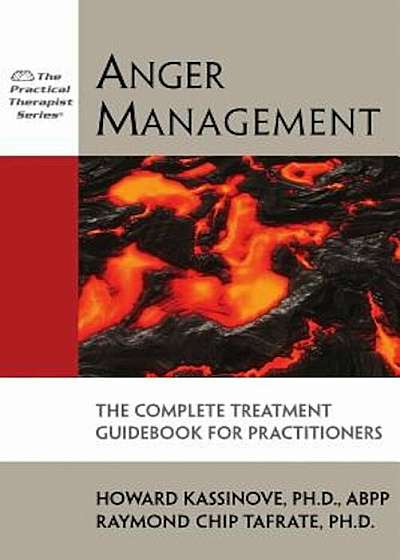 Anger Management: The Complete Treatment Guidebook for Practitioners, Paperback