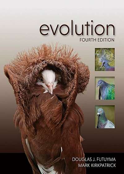 Evolution, Hardcover
