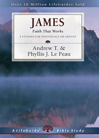 James: Faith That Works, Paperback