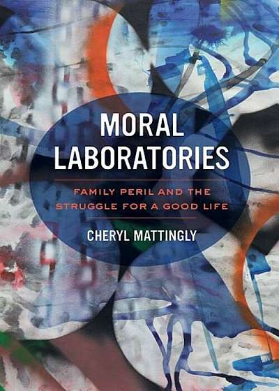 Moral Laboratories: Family Peril and the Struggle for a Good Life, Paperback