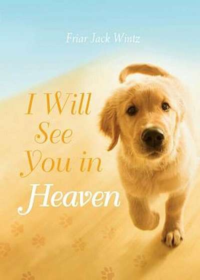 I Will See You in Heaven, Paperback