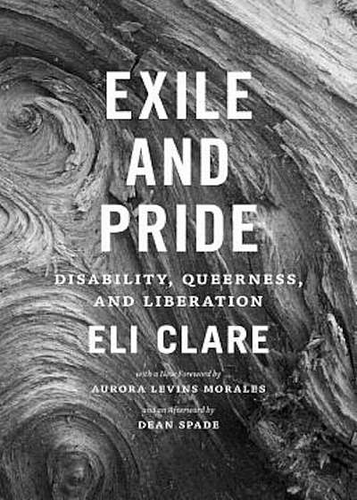 Exile and Pride: Disability, Queerness, and Liberation, Paperback
