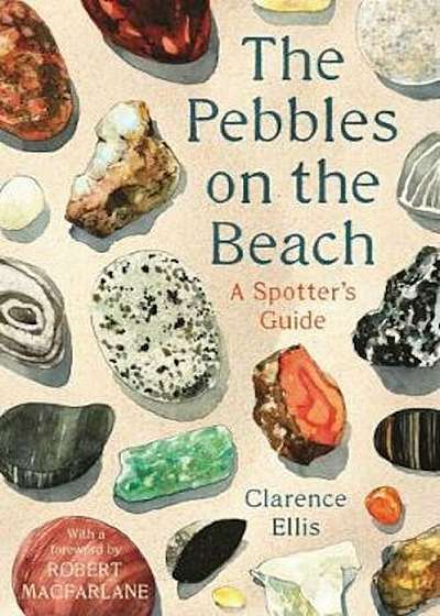 Pebbles on the Beach, Hardcover