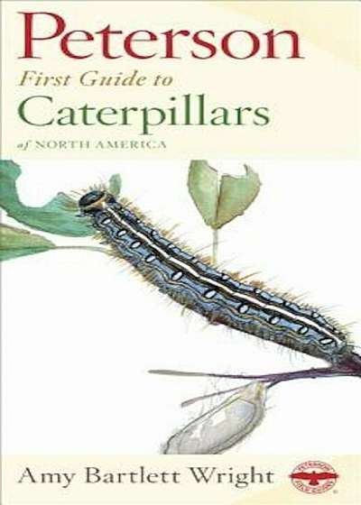 Peterson First Guide to Caterpillars of North America, Paperback